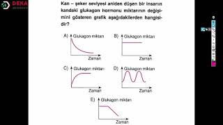 011 - Fen Bilimleri ÖABT - Endokrin Sistem Soru Çözümü - Ersin Çelikbaş