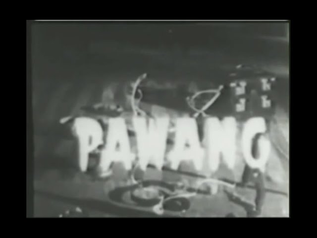 Filem Pawang (1954) class=