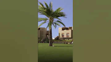 مدينة بنان المكان المثالي لازدهار العائلات 