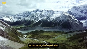 149 150  Thân thọ khổ, Tâm có thọ khổ chăng   Giải thêm về  tâm không động    Kinh Mi Tiên Vấn Đáp