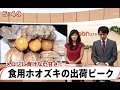 食用ほおずき太陽の子のTV取材　【富士見スカイファーム】