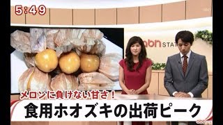 食用ほおずき太陽の子のTV取材　【富士見スカイファーム】