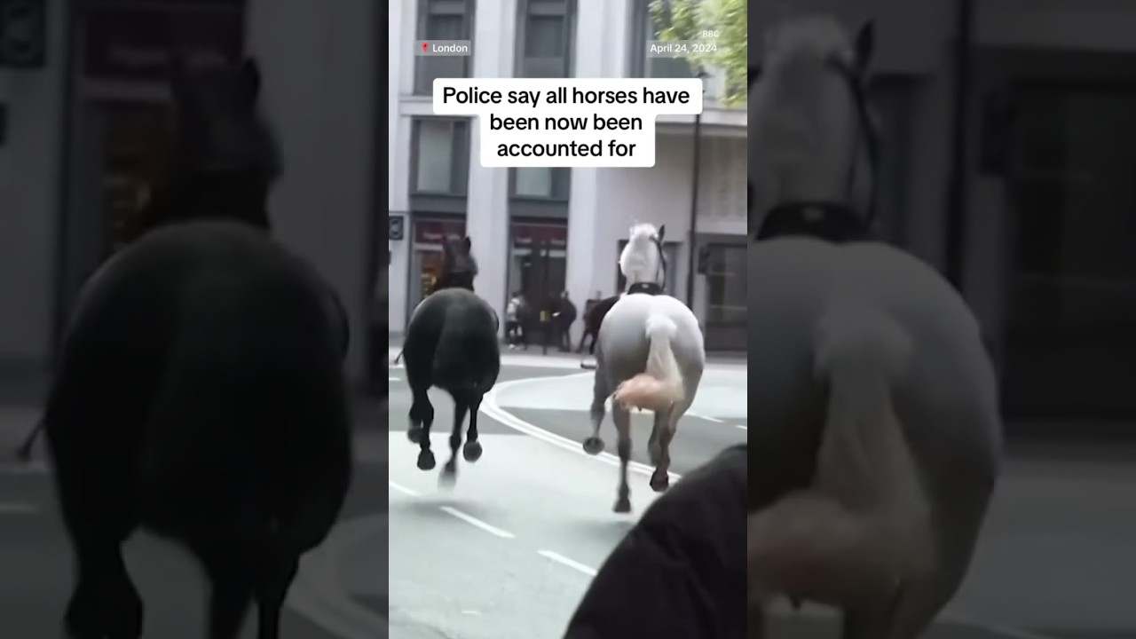 British military horses seen galloping riderless in London British military horses seen galloping riderless in London