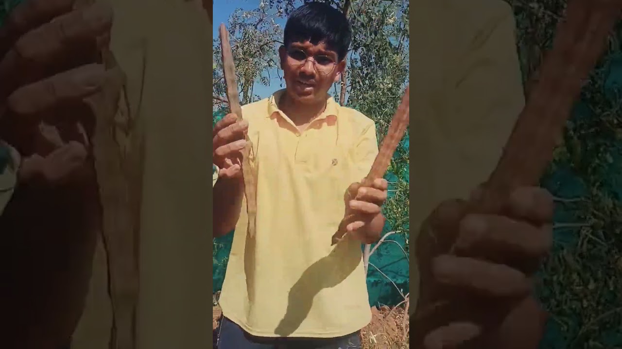 pkm1 seed harvest 😆😆 ❤️ 