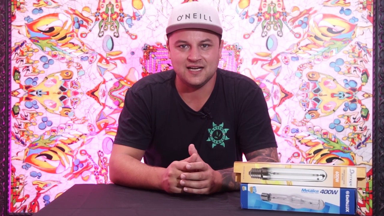 Dicas para Definir a iluminação a Partir do Tamanho do Cultivo Indoor Green Power Grow