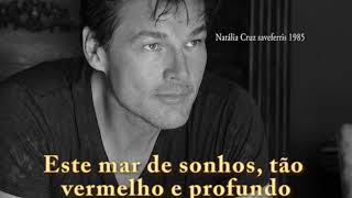 Morten Harket - Lay Me Down Tonight (tradução)