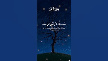 تلاوة نادرة تخشع لها القلوب💔🎧.
