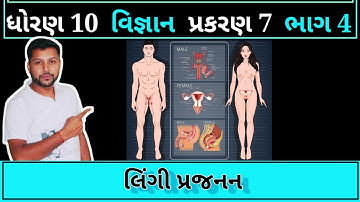 લિંગી પ્રજનન | sexual reproduction in gujarati | std 10 | science | part 4