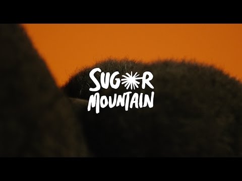 SUGAR MOUNTAIN 2017: LINE-UP