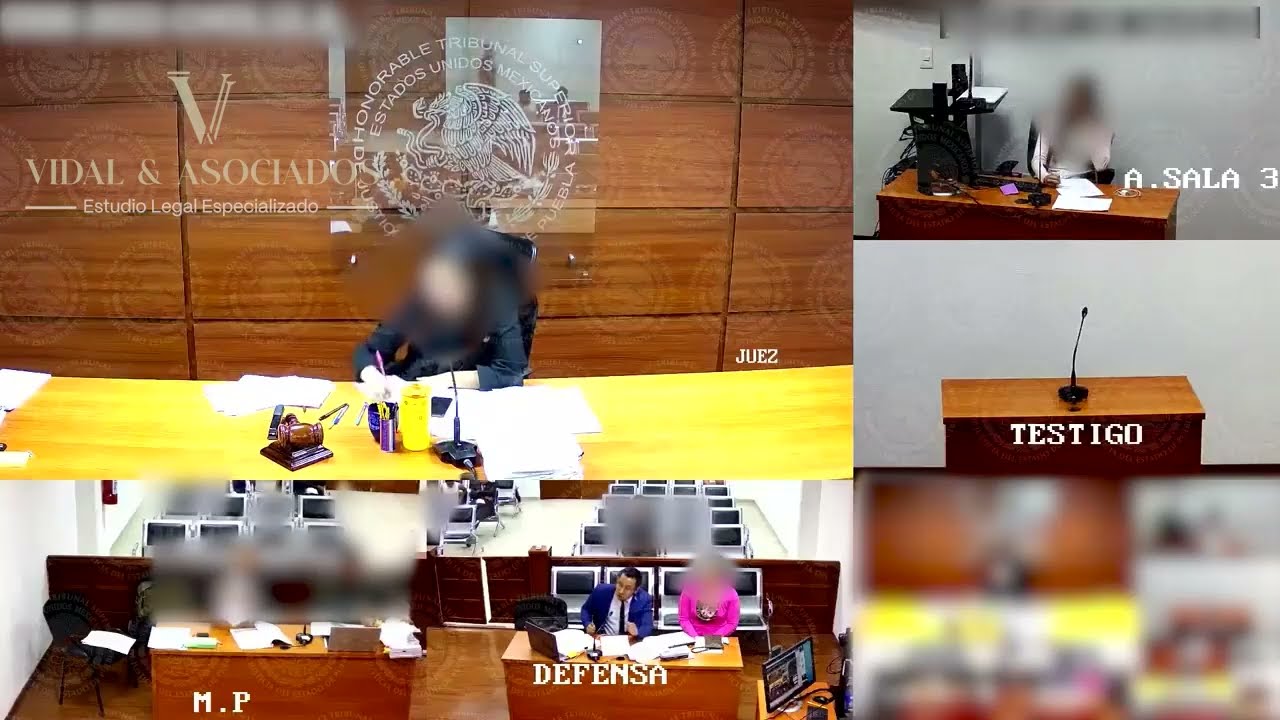 ¡NO VINCULACIÓN A PROCESO! AUDIENCIA INICIAL POR EL DELITO DE SUSTRACCIÓN DE MENOR.
