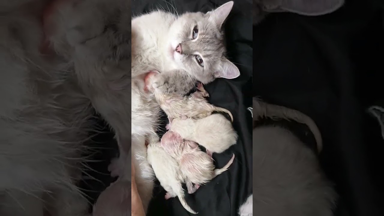 -41° 19 января 2026г. Сбербанк 2202203654418625 Елена К. Kaspi +7 771 194 42 69 Глеб Т.