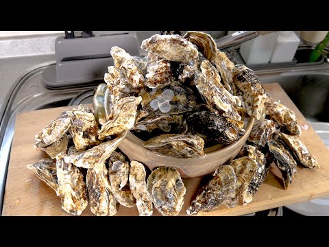 総重量５kg！鍋から溢れるほどの牡蠣を全て鍋に放り込んだらまぁすごいことになりました。