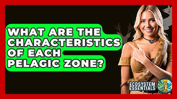 What Are The Characteristics Of Each Pelagic Zone? - Ecosystem Essentials