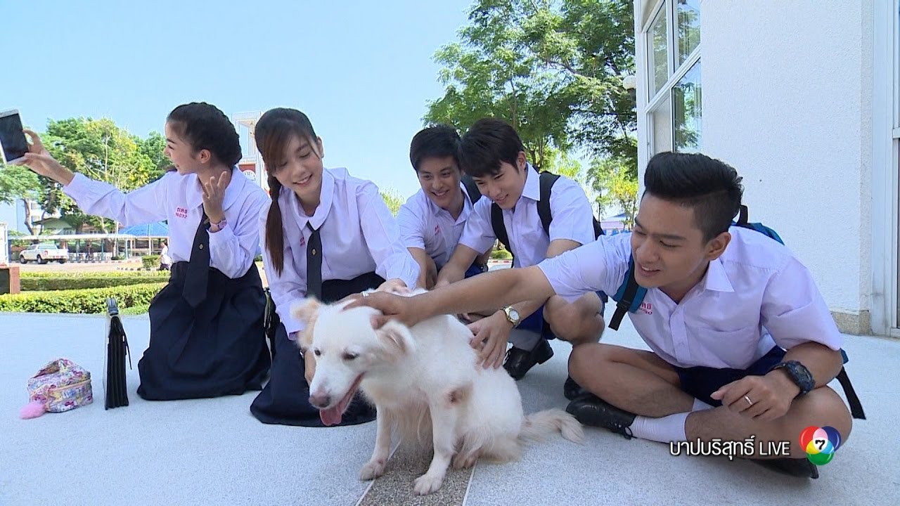 คิดแล้วจำเป็น Ost.บาปบริสุทธิ์ LIVE | บลิว วรพล [Official MV]