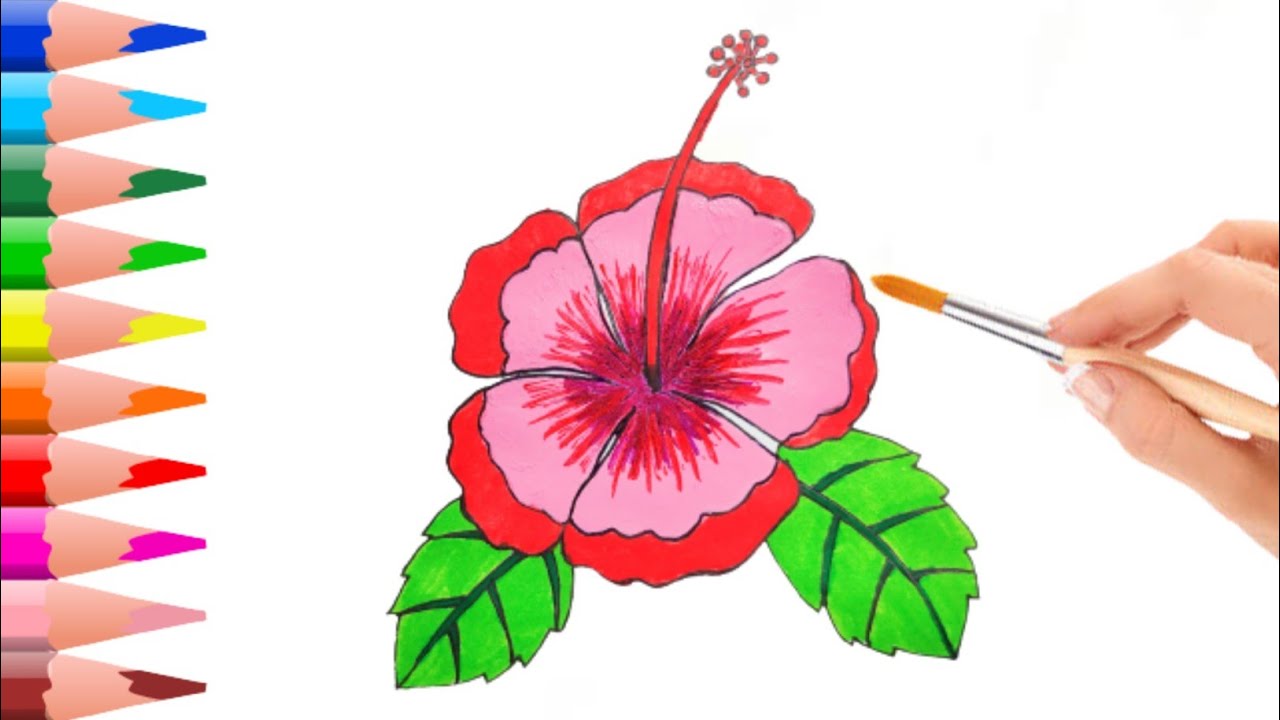 how-to-draw-flower-easy-step-by-step-with-color-in-very-easy-way-very