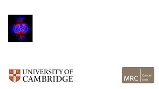 MRC Cancer Unit, University of Cambridge - Overview