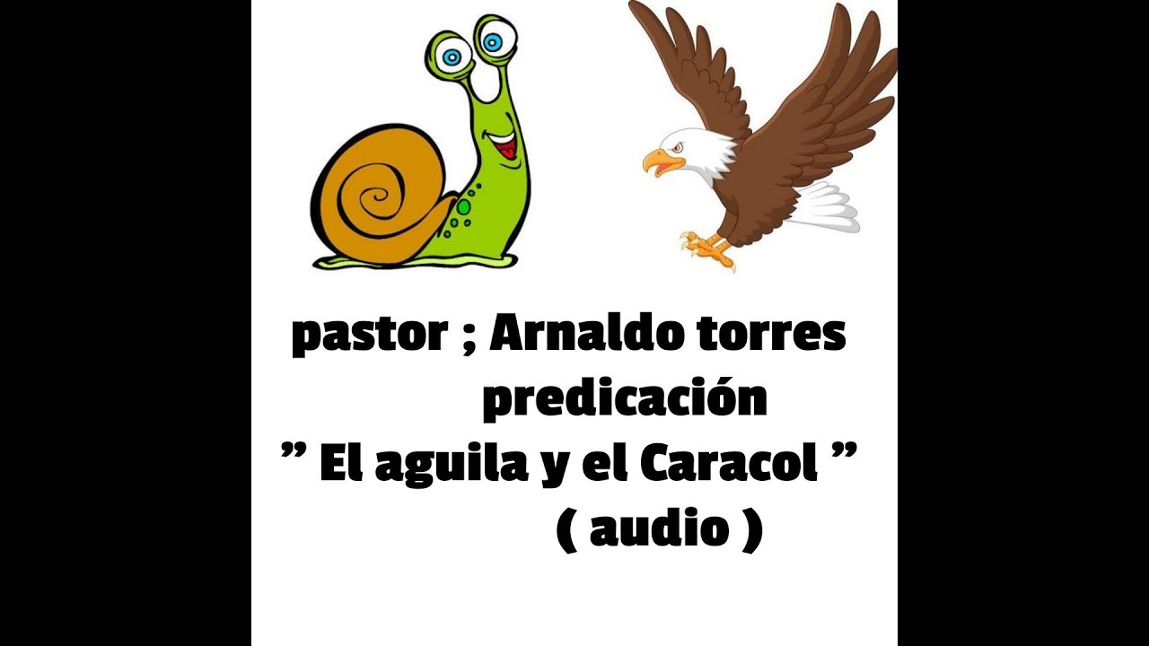 Arnaldo Torres 