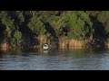 Gippsland Lakes Recovery