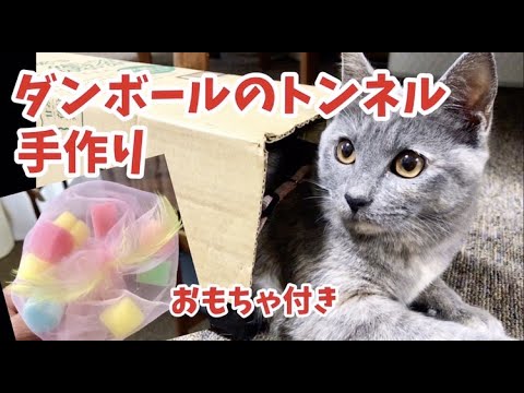 犬と猫 猫のおもちゃ 手作りダンボールのトンネル Youtube