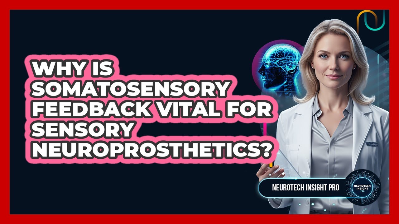 Why Is Somatosensory Feedback Vital For Sensory Neuroprosthetics? - Neurotech Insight Pro