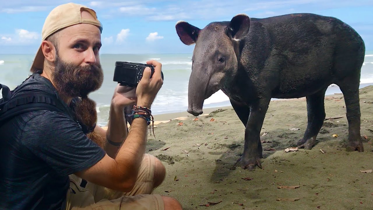 Esta AVENTURA EN LA SELVA ha sido muy SALVAJE 🤯 El mejor parque nacional del mundo (+sorpresa!!)
