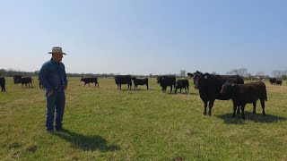 The capability of traceability