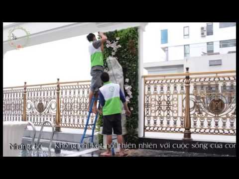 monarque đà nẵng New 2022 Tường cây giả đẹp chất ngất - Khách sạn Monarque Đà Nẵng