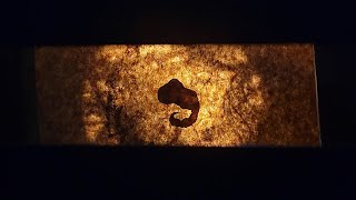 The Great Synapse (Graveyard of Eden Proof of Concept)