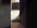 Bottle Flipping Return