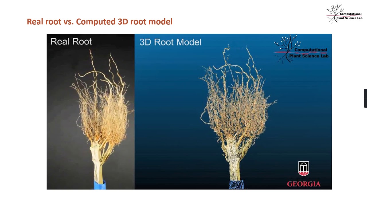(DIRT/3D) 3D root phenotyping system for improved carbon sequestration ...