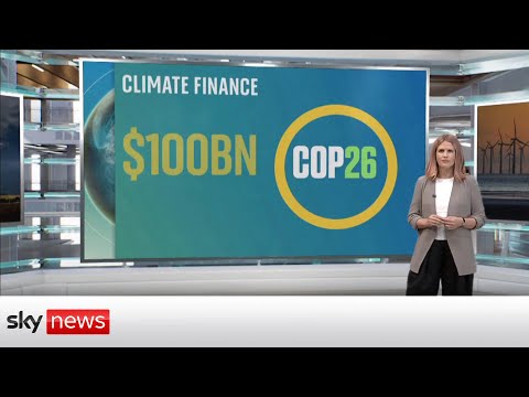 Climate Finance: Coal, Cars and Cash