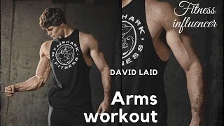 David Laid Arms Bicep Workout David Laid Workout David Laid Motivation Fitness Influencer