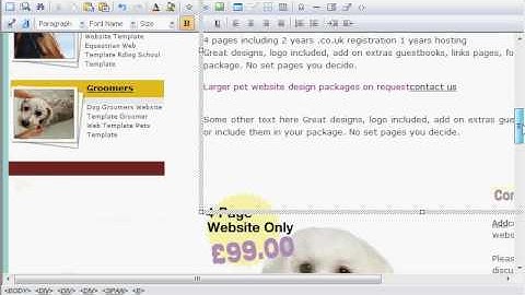 wysiwyg editor web design