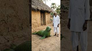 “Seal From Leaves 😳🦭 | Nature Art Gone Crazy