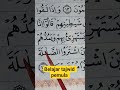 belajar tajwid pemula