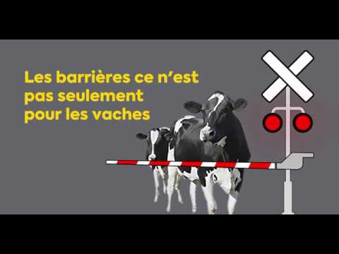 Les barrières ce n'est pas seulement pour les vaches !