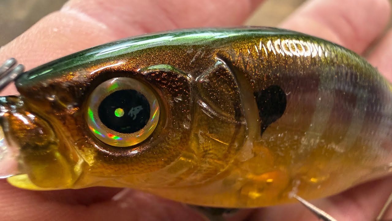 The Most Underrated Summertime Lure In Bass Fishing Today