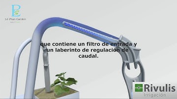 Bộ tưới nhỏ giọt bù áp và que cắm nhỏ giọt Rivulis