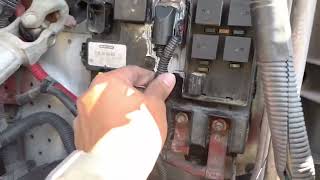 Sam chassis Problems! Sporadic turn signals | Diesel Diaries #freightliner #dieselmechanic #howto