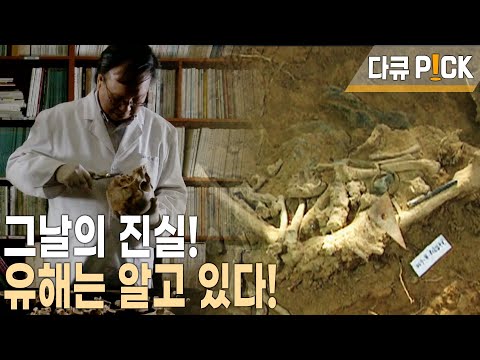 땅 속의 유해는 진실을 알고 있다! 아직도 유해 발굴 현장을 떠나지 못하는 이유, 박선주 교수 (KBS 20160308 방송)