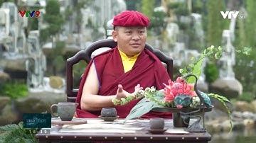 VTV9 Phỏng vấn Đức Drukpa Thuksey Rinpoche nhân chuyến viếng thăm, cầu nguyện Quốc thái dân an 2024