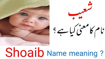 Shoaib name meaning in urdu |Muslim boys beautiful names with urdu meaning
