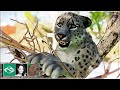 🐻 Snow Leopard Habitat & Cave Viewing | Let's play Planet Zoo Franchise Mode | Ep. 4 |
