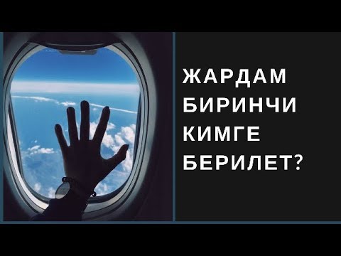 Video: Үй жаныбарына биринчи жардам: Сиз даярсызбы?