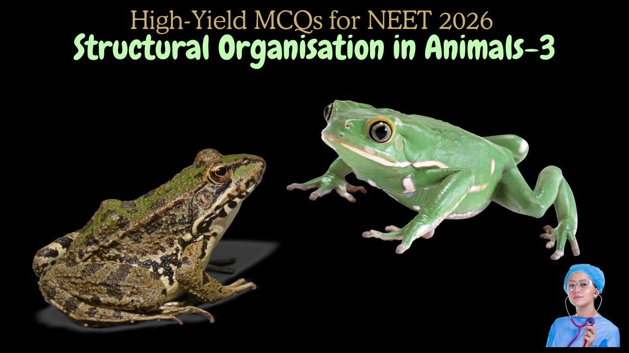 High-Yield MCQs for NEET 2026 | Structural Organisation in Animals-3 ...