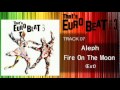 Aleph - Fire On The Moon (Ext) That's EURO BEAT 03-07