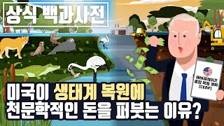 미국이 생태계 복원에 천문학적인 돈을 퍼붓는 이유? [상식백과사전]