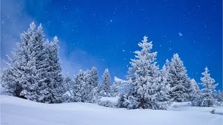 Beautiful Relaxing Music, Peaceful Soothing Instrumental Music, &quot;Winter Woods&quot; by Tim Janis