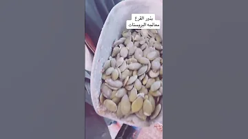 الدكتور خالد شعبان معالجة البروستاتا 