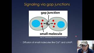 Molecular Cell Biology Lecture 12 Part A Cell Signaling and Homeostasis